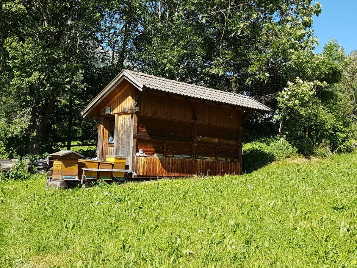 Apartments Nature Apis Landheim Антерсельва-ді-Меццо Екстер'єр фото